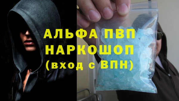 индика Балахна