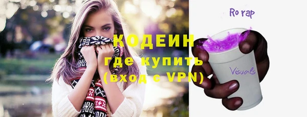 индика Балахна