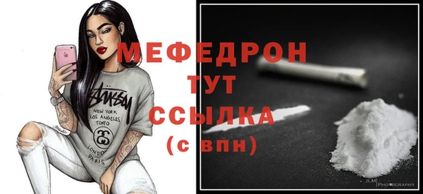 индика Бикин