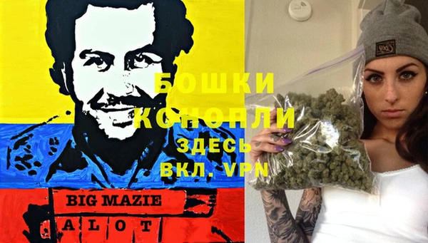 крисы Арсеньев